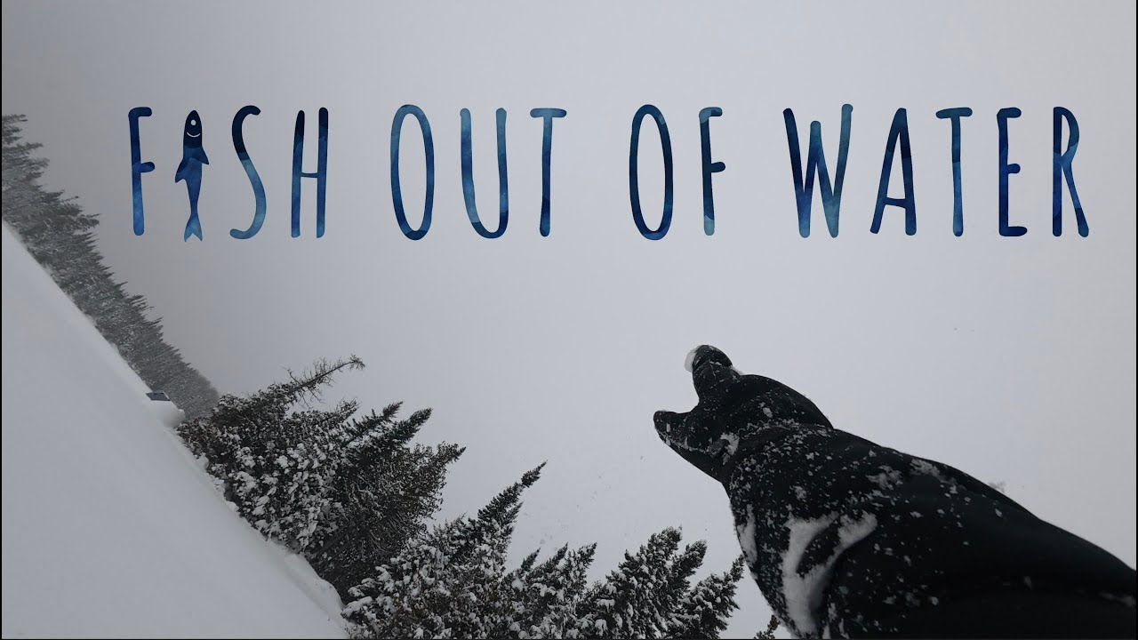 Fish Out of Water #8