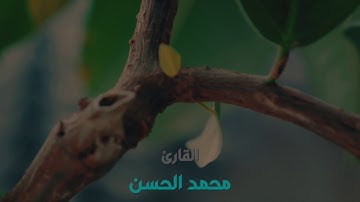 (وَأَحْسِنْ كَمَا أَحْسَنَ اللَّهُ إِلَيْكَ ) تلاوة في منتهى الجمال .. للقارئ : محمد الحسن