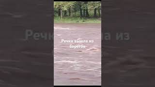 Ужас. Река Выходит Из Берегов. #Shortsvideo #Youtubeshorts #Потоп