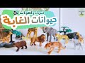 تعلم أسماء وأصوات حيوانات الغابة مع يمان طريقة ممتعة للأطفال 