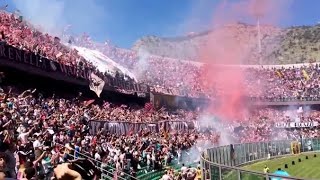 PALERMO FC - COSA IMPORTA SE ORA SEI FALLITO (With Translation)