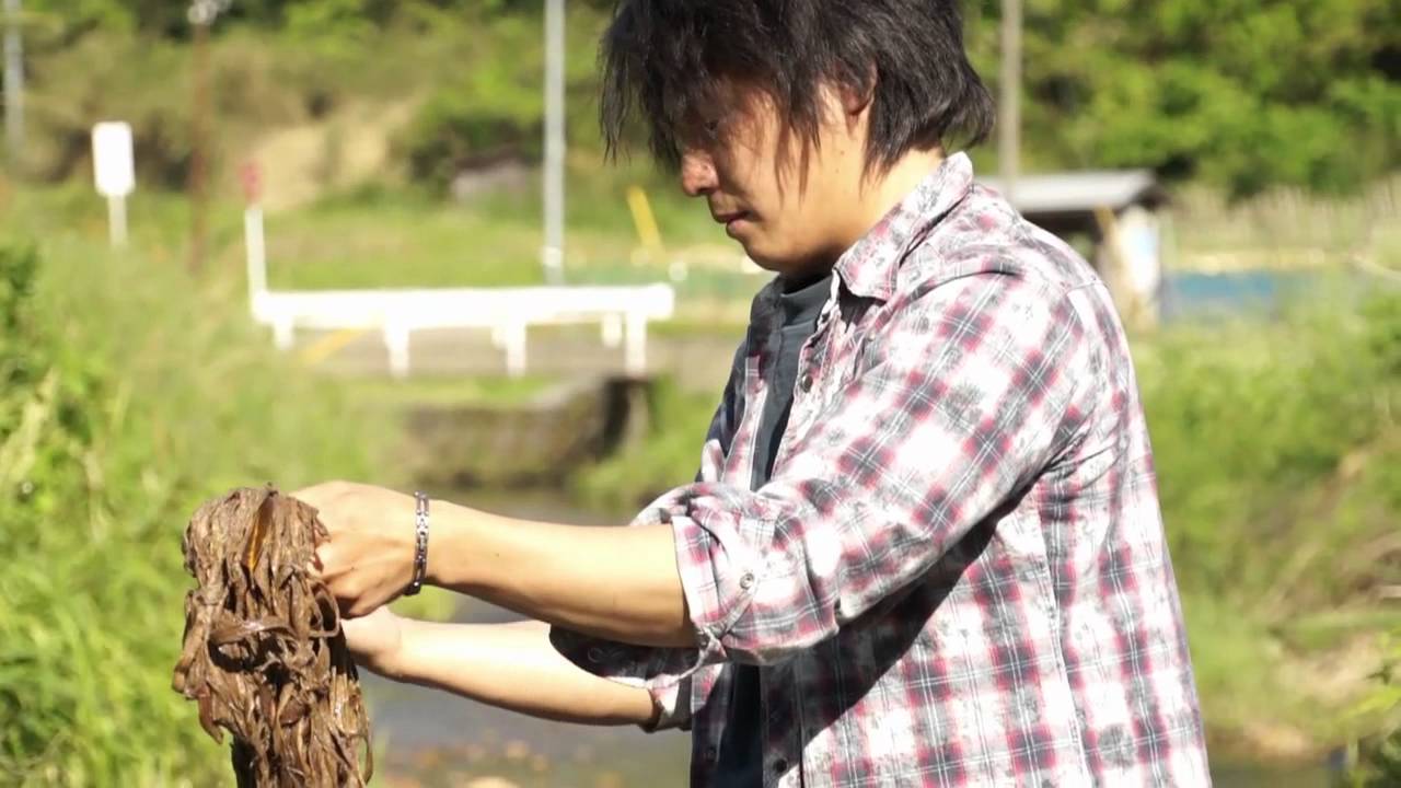 藤布から藤帯を織る遊絲舎 /遊絲舎公式サイト