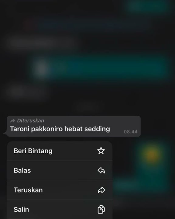 Story Wa Bugis || story wa terbaru 2021