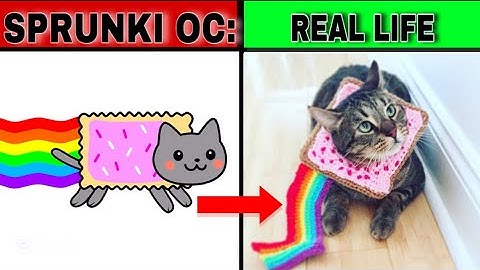 My Sprunki OC: Nyan Cat in REAL LIFE
