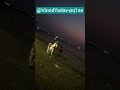 ##Rusita#Horse#Riding#Samundra#kinare##@VinodYadav-pq1se