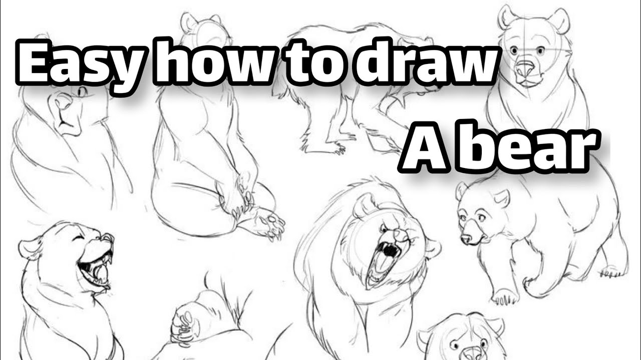 Bear Drawing Hack How to draw a cool bear π»π - YouTube