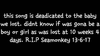 Dedication to Seamonkey (Gone too soon)