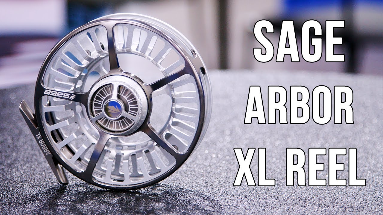 Sage Arbor XL Fly Reel  Insider Review 