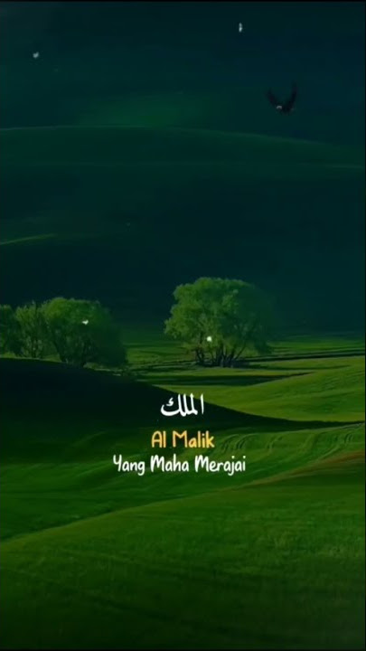 Asmaul Husna #asmaulhusna #sholawat #short #viral #fyp #storywa #fypp
