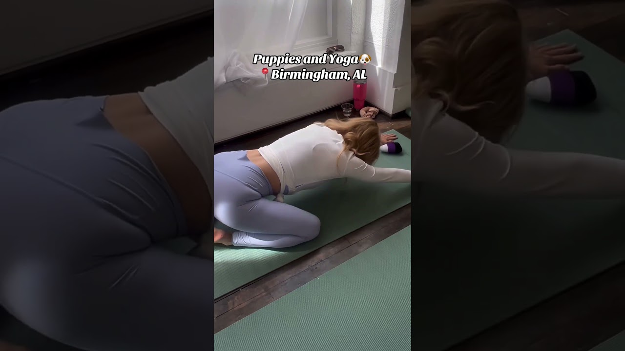 Puppy Yoga in Birmingham 🐶🧘‍♀️ Fun, Relaxing & Cuteness Overload! 