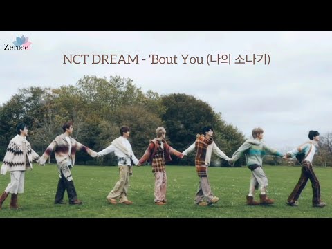 🎵 NCT DREAM - 'Bout You (나의 소나기) Special Cover by Zerose || 10주년 축하해💚 스페셜 커버