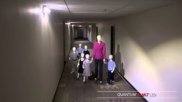 QUANTUM ELMLT - ABOVE AND BEYOND