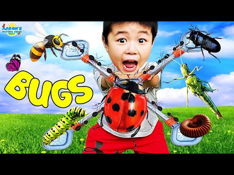 KIDS! 🪲REAL Bugs Go CRAZY! 🐞Epic Bug City Adventure | EDUCATIONAL KIDS NATURE SHOW🌿 KIDS! 🪲REAL Bugs Go CRAZY! 🐞Epic Bug City Adventure | EDUCATIONAL KIDS NATURE SHOW🌿