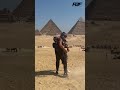 TERENCE CRAWFORD SHOWS HIS STRENGTH AT THE PYRAMIDS AS HE WRESTLES JAI OPETAIA #shorts