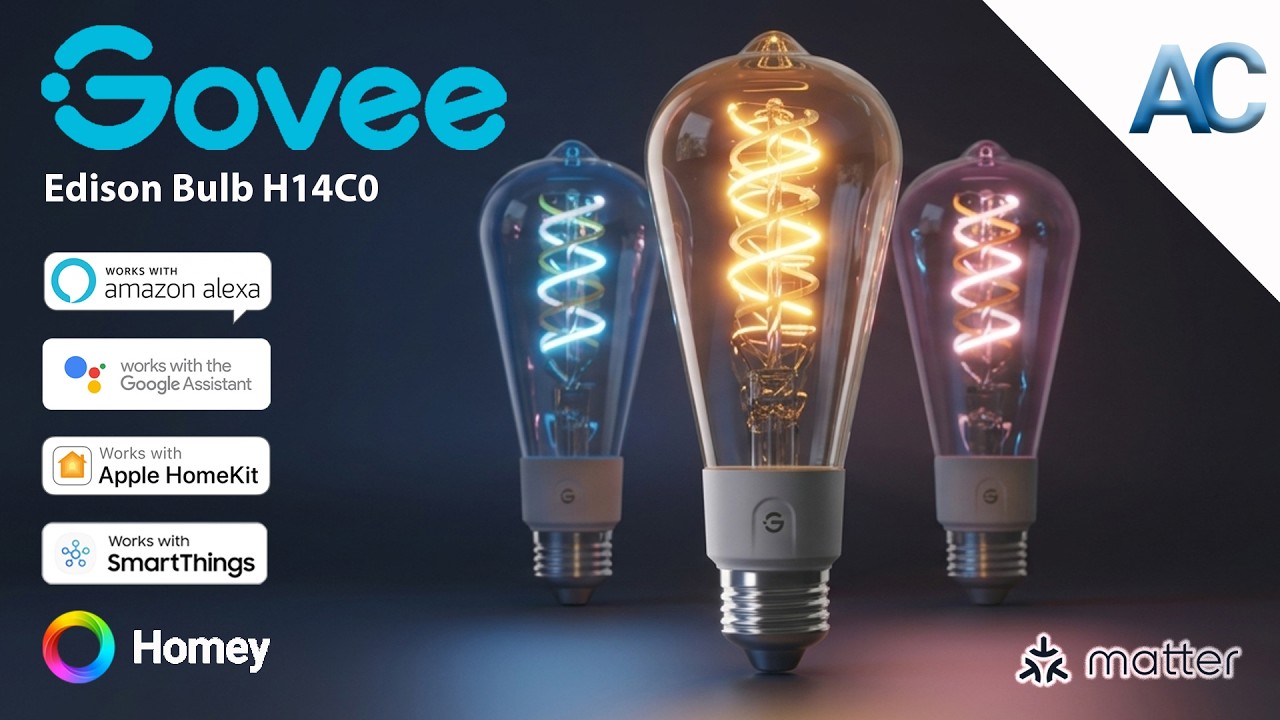 Govee Edison Bulb H14C0 4個セット Govee Edison Bulb H14C0 | A Perfect 