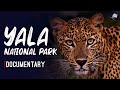 Yala National Park Sri Lanka | Documentary