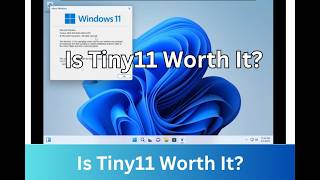 Celebrity Is Tiny11 Worth It? Net Worth
