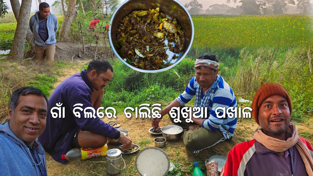 ଗାଁ ବିଲରେ ଚାଲିଛି ଶୁଖୁଆ ପଖାଳ 😋 l ଟୁକୁ ଭାଇ ଫାର୍ମ l Gouranga Nayak Odia Vlogs 