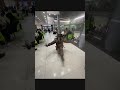 дрынь дрынь