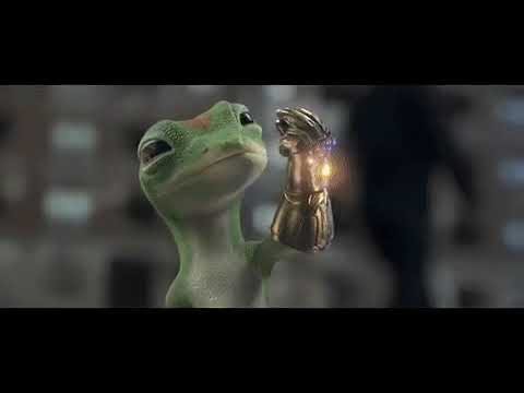 Geico Gecko snaps and gives 50% of the universe insurance