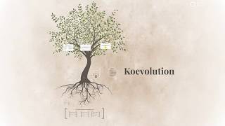 Koevolution einfach erklärt mit Beispielen, Definition, Wechselbeziehungen, Vor- / Nachteilen - Bio