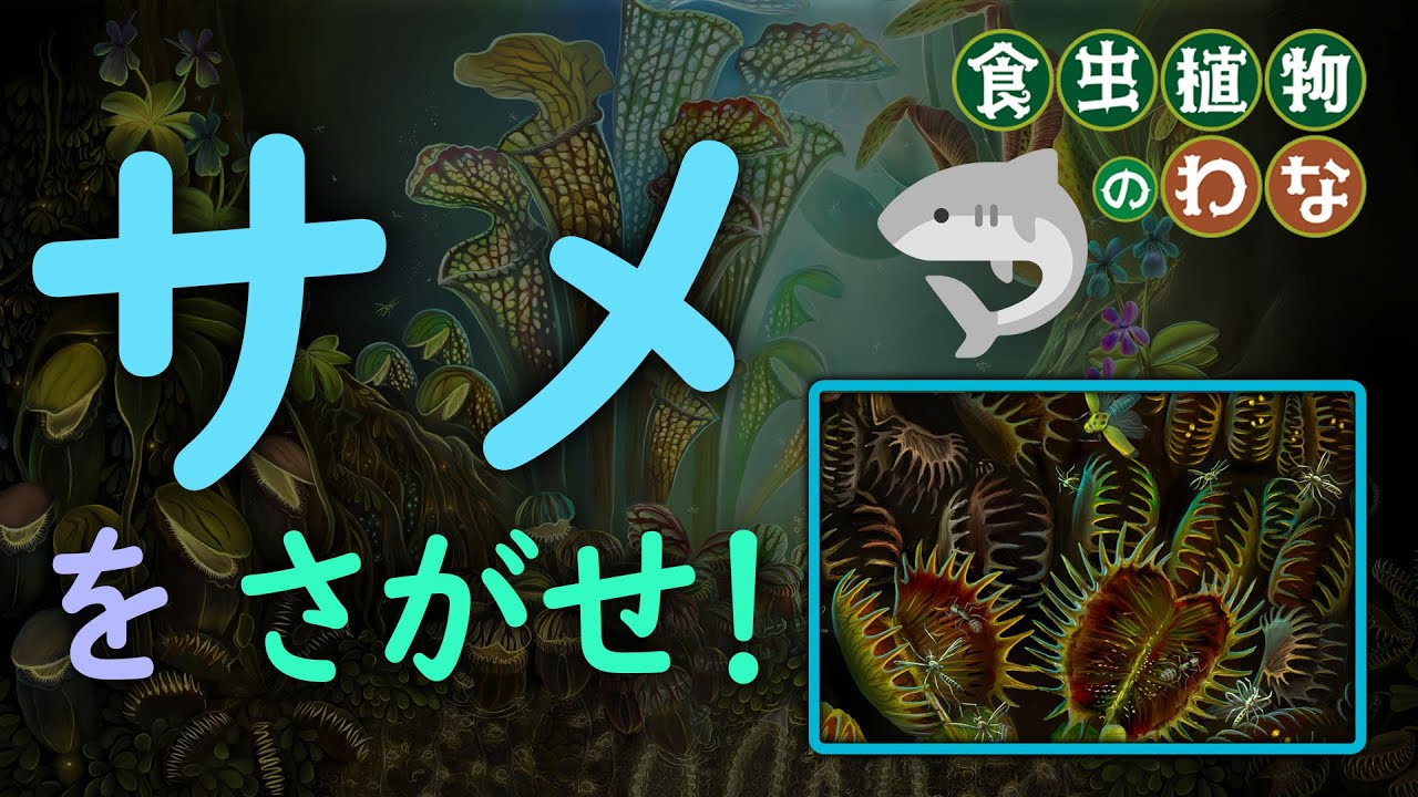 サメをさがせ！】この絵の中にサメがかくれています。絵本『食虫植物の