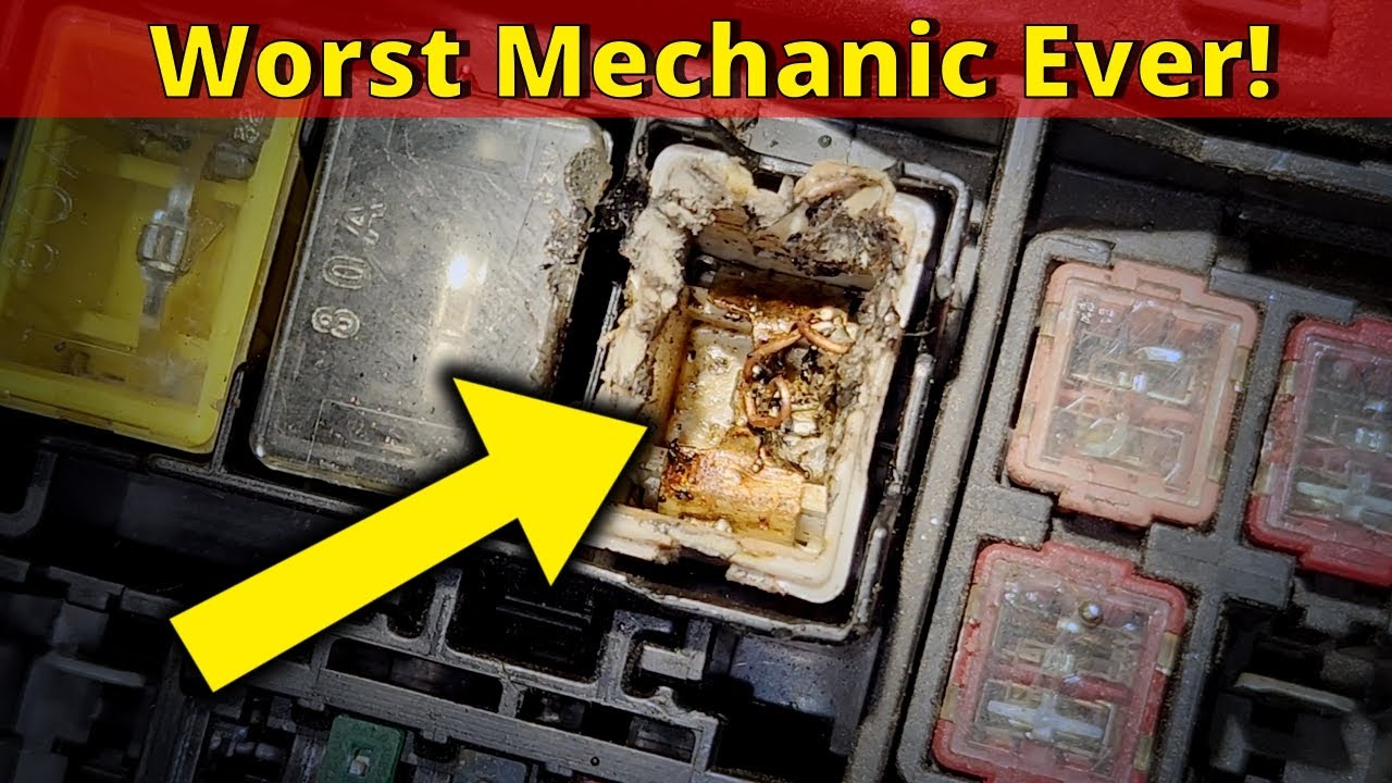 This is the Worst Mechanic We've Ever Seen! YouTube