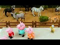 Peppa Pig Visits the Zoo - Educational Animal Learning Video for Kids