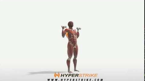 Exercise Videos- Alternating Dumbbell Shoulder Press -- Standing