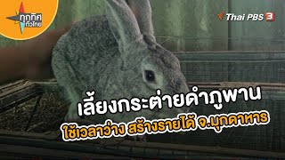 ปลัดอบต.โชคชัยเลี้ยงกระต่ายดำภูพาน จ.มุกดาหาร | อาชีพทั่วไทย