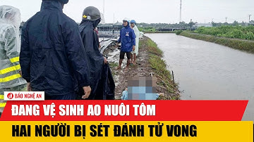 Đang vệ sinh ao nuôi tôm, hai người bị sét đánh tử vong