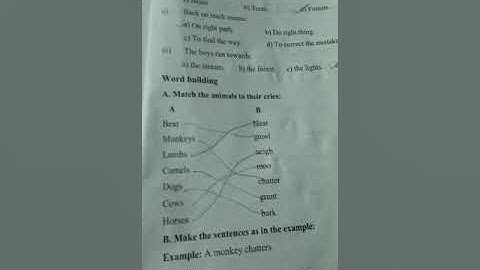 Shugufta Qadir Class 4th English Topic Book Work of lesson Be Adventurous