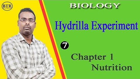 HYDRILLA EXPERIMENT |oxygen is produced during the photosynthesis|Chapter1 Nutrition|Biology class10