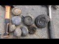 Fossil Hunting Yorkshire