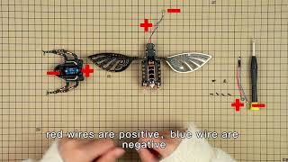 ROKR Rhinoceros Beetle MI01 Assemble Step 6