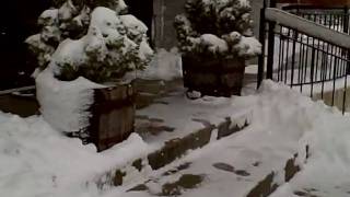 snow2.AVI