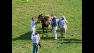 Barack Flevo \u0026 Fred Handelaar  winnen De Lier-prijs - Duindigt 28 juli 2013