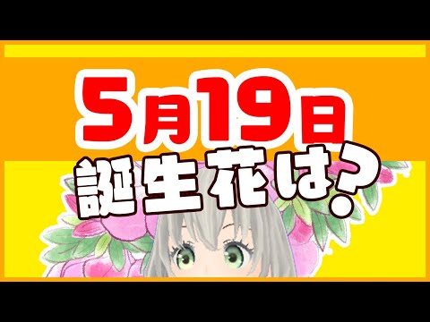 【花言葉】5月19日の誕生花は？／花白もか