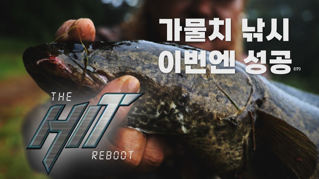수정PU)누가 가물치 낚시 못한다고 구박했냐? 계속해라...ㅠㅠ 가물치를 향한 집착의 끝을 보여줄 히트맨의 여정!