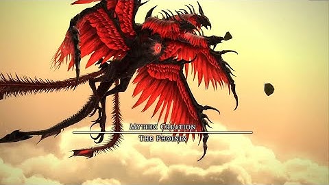 Phoinix - P3S GNB Optimization Explaned (Hystorical rank 1) - Congo