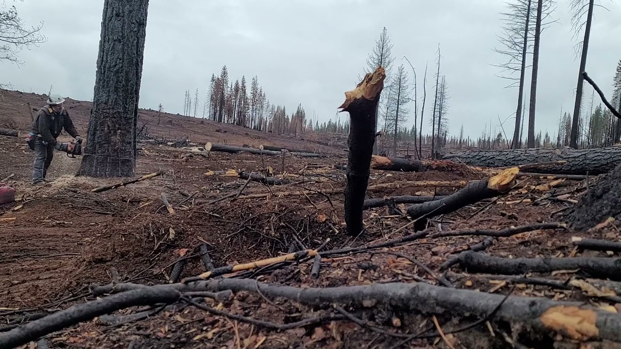 Finally got the new belt for the new axe scabbard