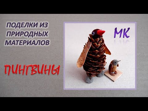 Video: Пингвиндердин кулагы барбы?