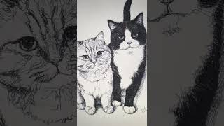 Order via link in my bio.#petportrait #cat #catmom #petpainting #scribbles