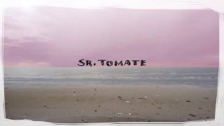 Video thumbnail of "Desde el centro del naufragio (ep) - Sr. Tomate (full album)"