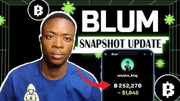 BLUM Airdrop Update: Blum Dogs Drop Snapshot and Withdrawal!