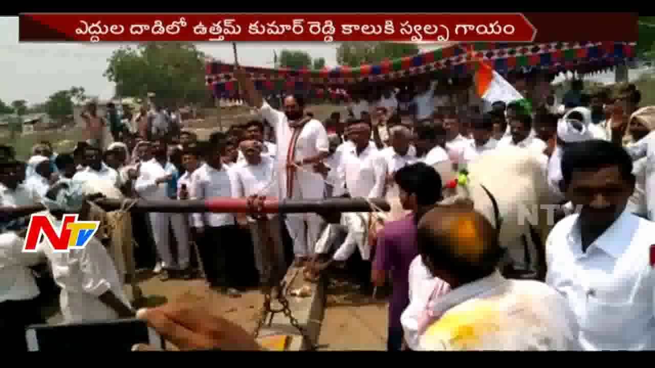 Tpcc Chief Uttam Kumar Reddy wounded In Bull Charges || Suryapet || NTV
