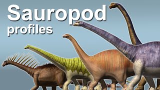 Sauropod profiles