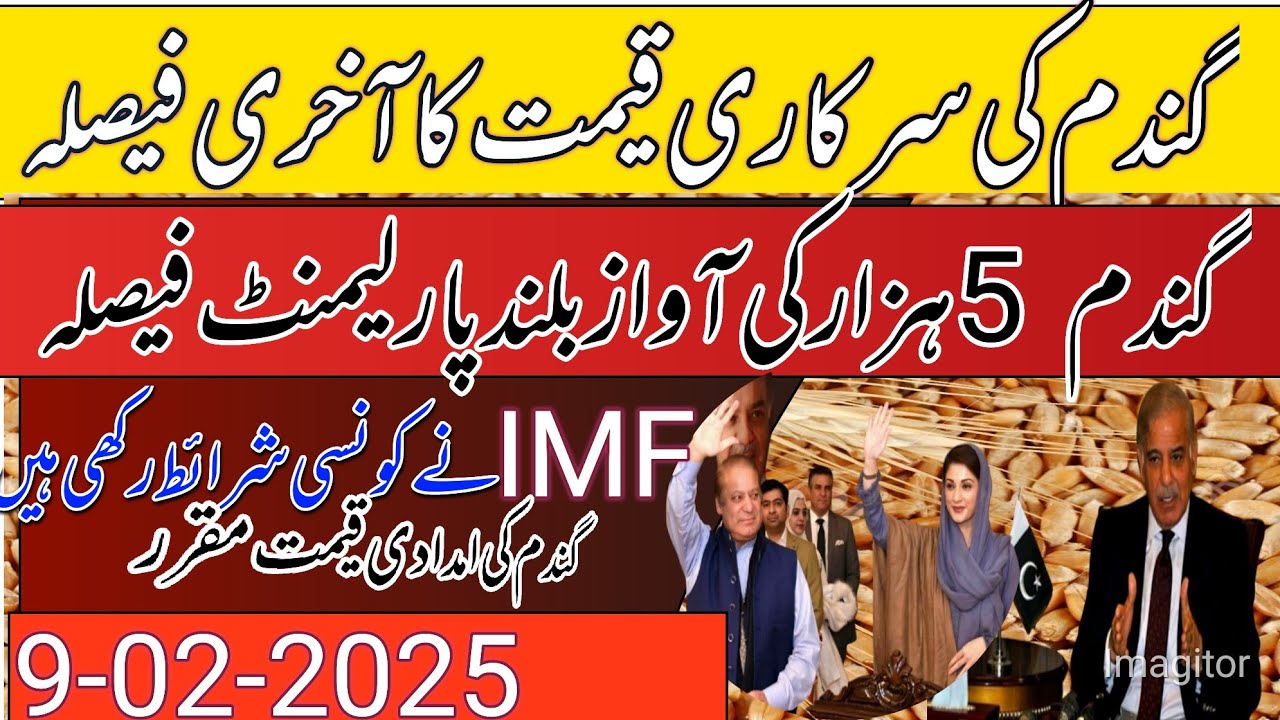 wheat support price in Punjab pakistan /new wheat support price 2025 ...