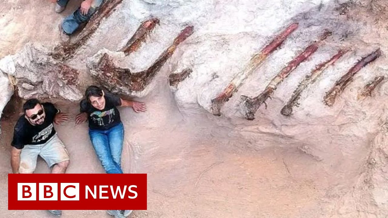 Huge dinosaur skeleton unearthed in Portuguese garden – BBC News