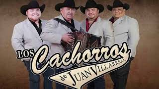 Los Cachorros de Juan Villarreal ~ Corridos de Oro [EPICENTER] ⚠LOUD BASS